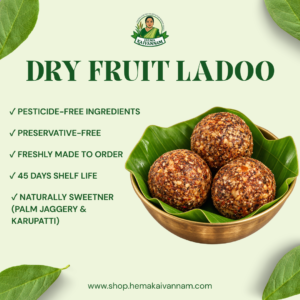 Dry Fruit Ladoo